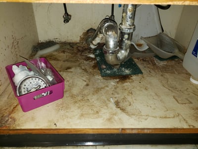 Sink Cabinet with moisture damage